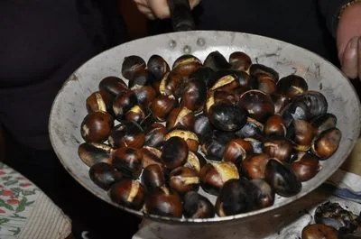 Castanhas — tradição transmontana