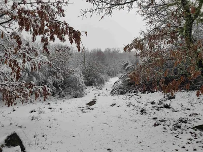 Paisagem de Trás-os-Montes