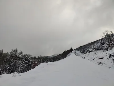 Paisagem de Trás-os-Montes