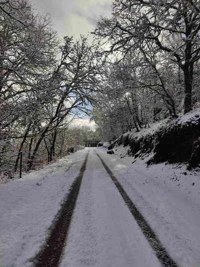 Paisagem de Trás-os-Montes