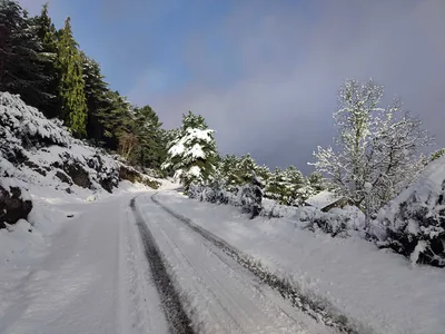 Paisagem de Trás-os-Montes